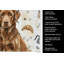 Serviette de cuisine Coffee Bar-1234934780