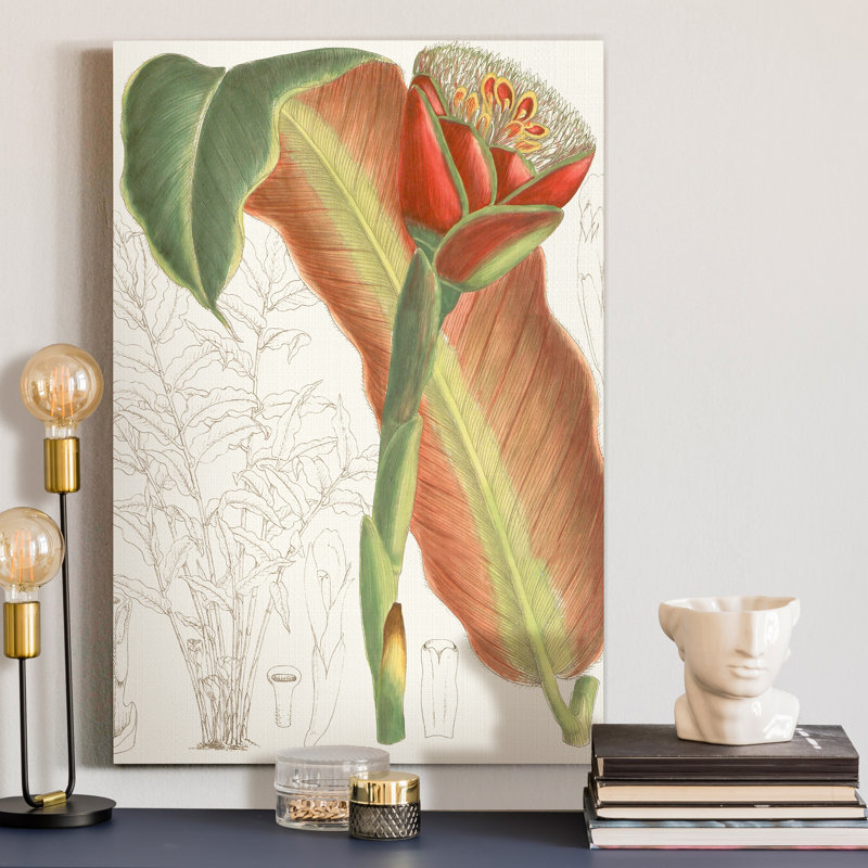 Reproduction d’art sur toile tendue « tropical Variety VII », H 12 po x l 8 po x P 1 po