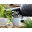 Cache-pot Peace Lily en céramique émaillée, petit modèle - Sasheer en plein air-1296545817
