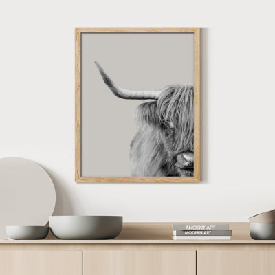 «Hignland Cow Portrait noir et blanc Shetland bovins» sur papier