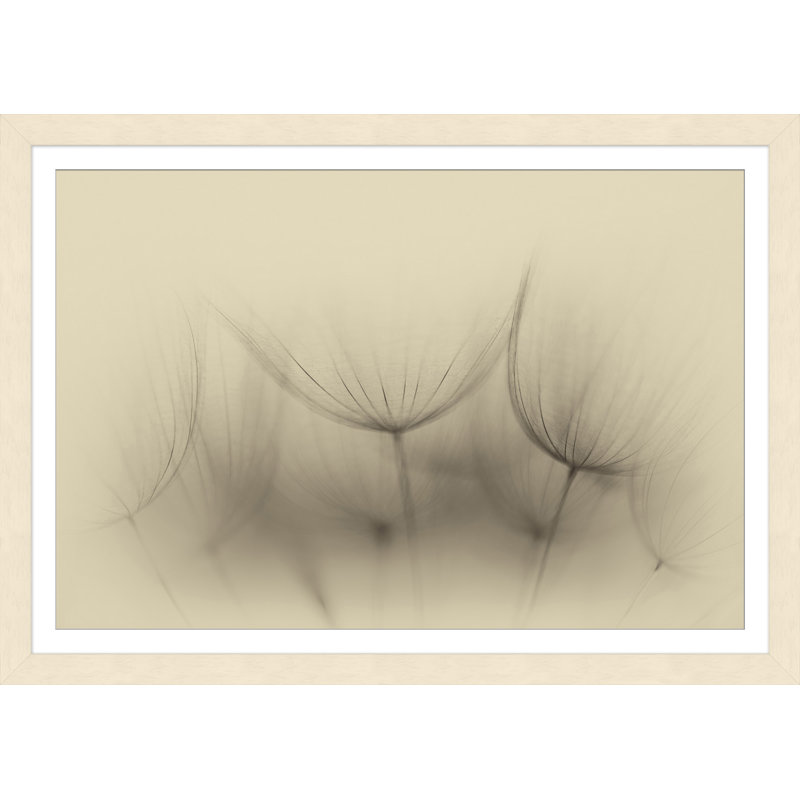 Wispy Blooms Print
