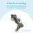 Cam Lock Replacement Kit