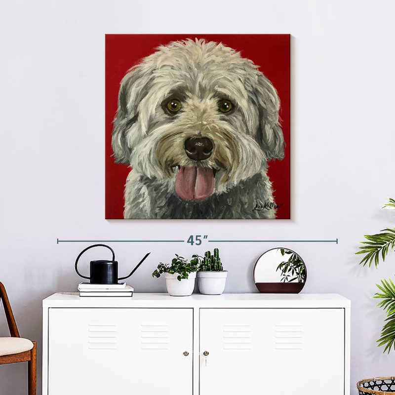 Crowle Havanese, 30" H x 30" W