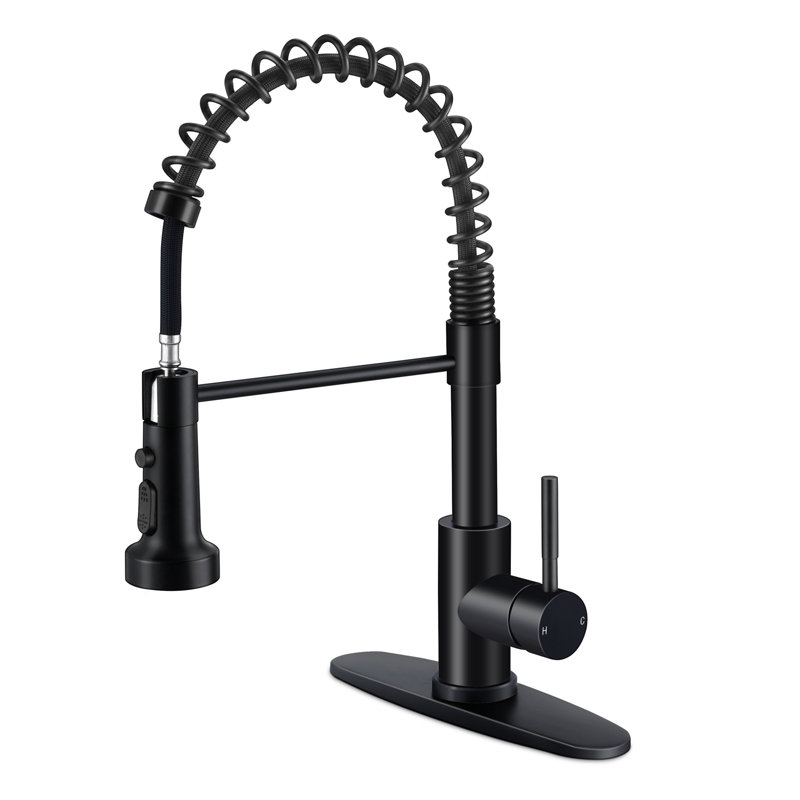 Robinet de cuisine avec douchette rétractable Wilmall, Noir mat