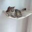 Hamac pour chat mural et 2 marches