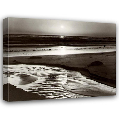 Oiseaux sur une plage
