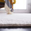 Maxfield Ivory/Beige Area Rug-778762054
