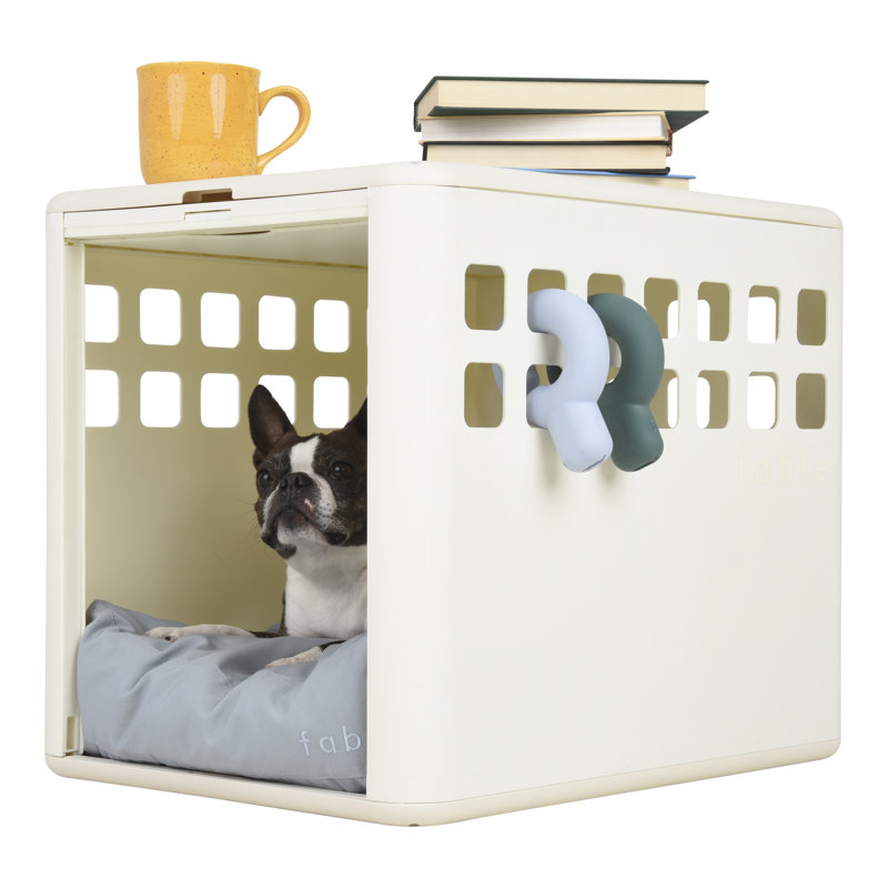 Plastic Pet Crate with 1 Door