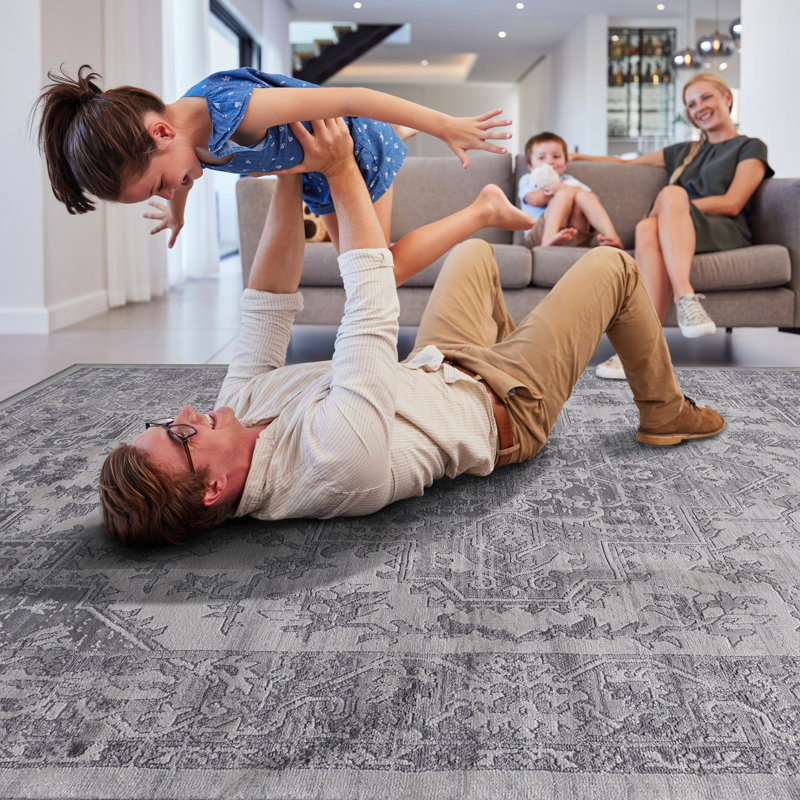 Non-Shedding Silver Area Rug Blanket - Suitable For Dining Room, Study, Stain Perfect Home Office,, Rectangle 6'7" x 8'