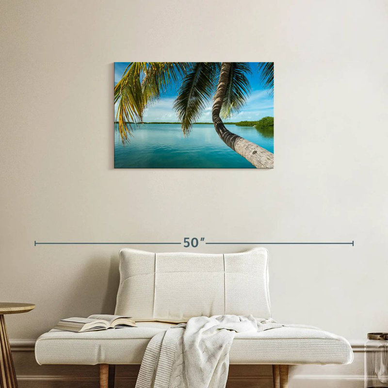 Palmier Gillard Seaside, H 20 po x l 30 po