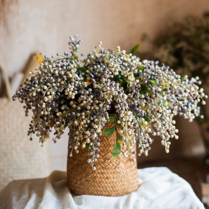 Dilatatum plante en faux linden, Mauve blanc, Deux tiges