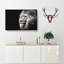 Portrait Of A Proud Lion - Wrapped Canvas Print-56630733