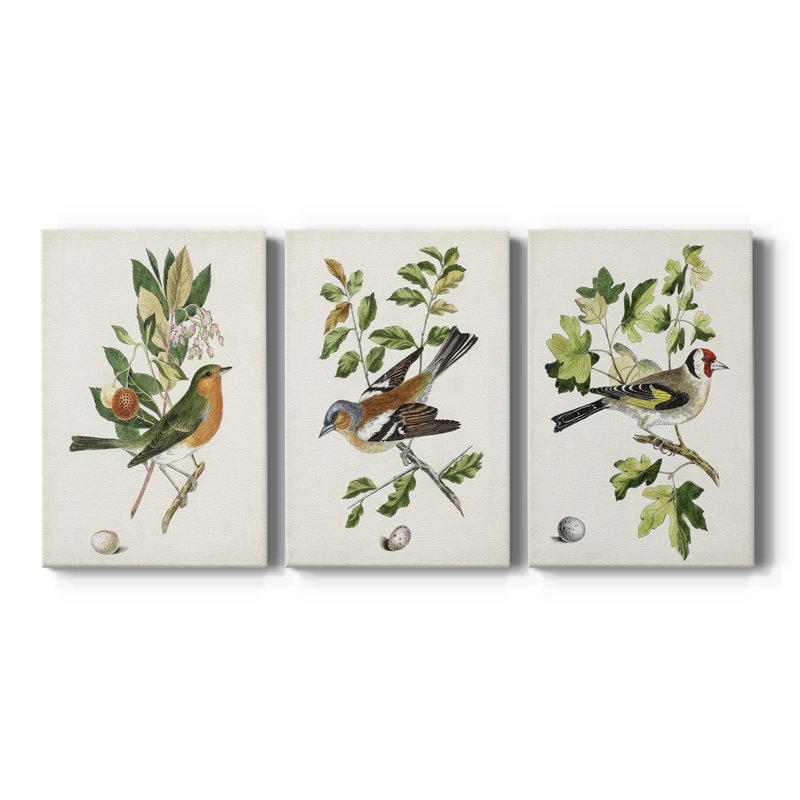 Oiseau antique, botanique et œuf sur toile tendue sur mesure - 3 pièces, H 12 po x l 24 po