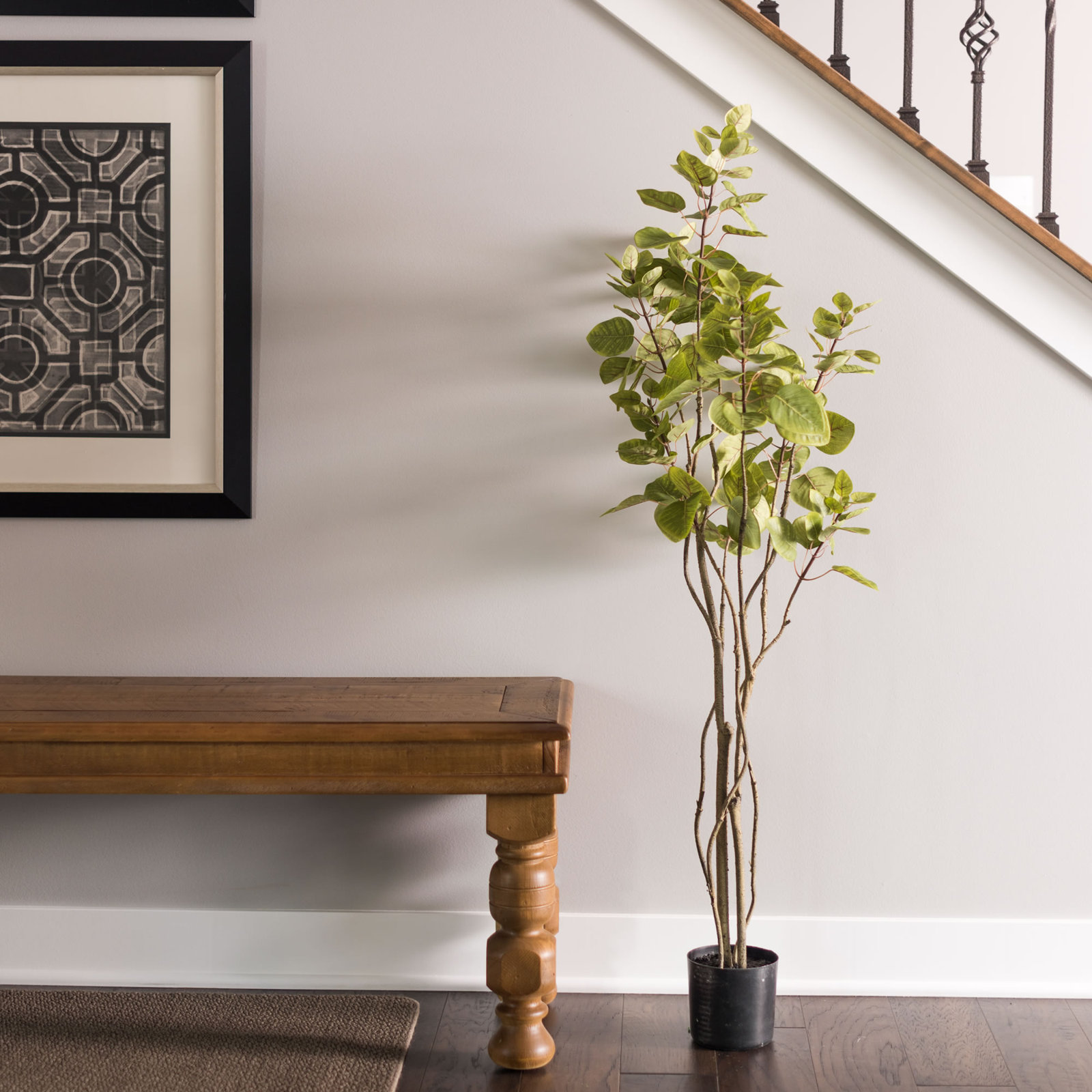 48" Cotinus Coggygria Tree in Pot, Green