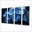 Nirvana bleu, bleu, hortensia-696204902