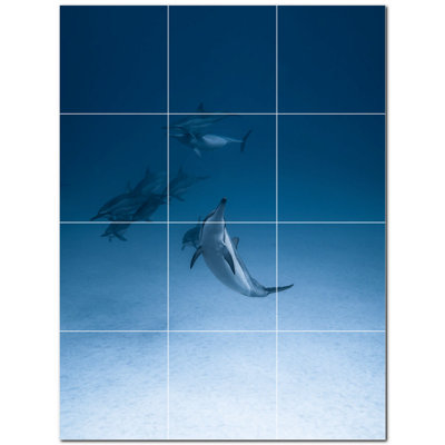 12'' x 12'' Satin Ceramic Decorative Mural