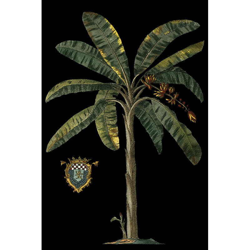 Palmier et crête sur fond noir II, H 18 po x l 12 po x P 1,25 po