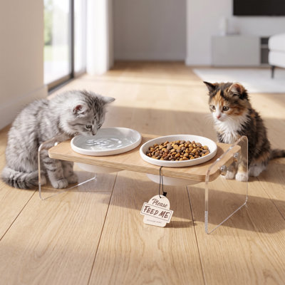Mangeoire surélevée transparente moderne pour animaux de compagnie avec couvercle imitation bois et bols en céramique (12,6'' L x 6,7'' P x 4,7'' H)
