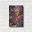«Lenton Rose V» par Debra Van Swearingen-258208585