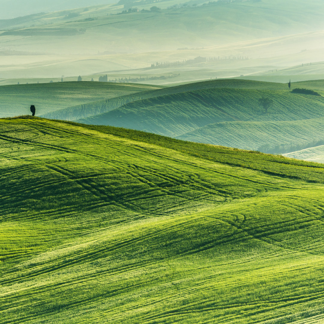 Typische Landschaft aus der Toskana von Gehringj - Kunstdrucke auf Leinwand