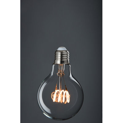 Bucher 40 W G80 Incandescent Smart Bulb