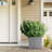 Kenelm Metal Planter Box-709327528