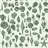 Lowcountry Love Shells Marsh Breeze Wallpaper by Megan Molten