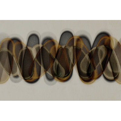 Echoes in Motion by Treechild — Abstract Wall Art