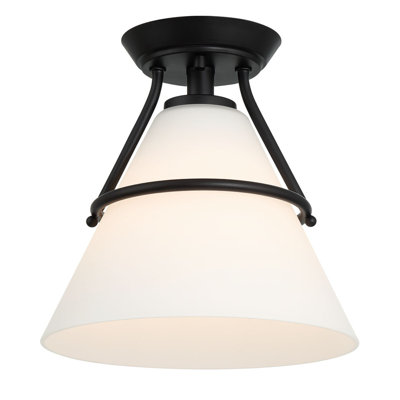 1 LT Ceiling Light in Matte Black