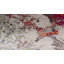 Tapis Wrought Studio Ansela-735303103