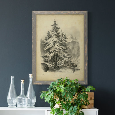 " The Spruce "