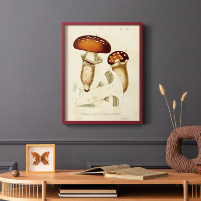 Reproduction encadrée champignon Variétés III - bois massif