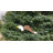 Davy Weather Resistant Plastic Animals Garden Art