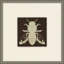 Cabin Collection Bumble Bee Framed Graphic Art