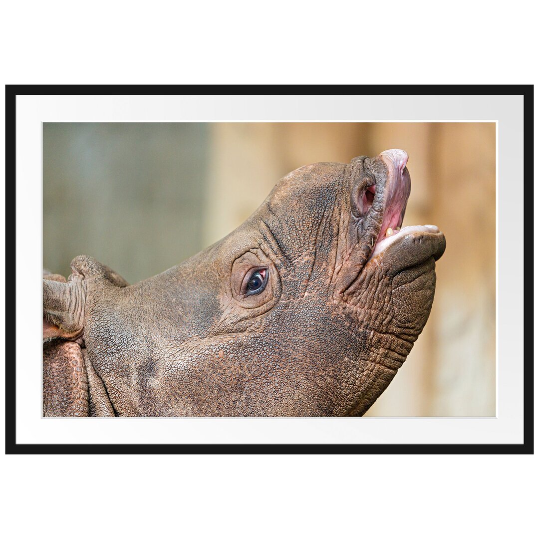 Gerahmtes Poster Kleines Nashorn