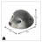 Floating Baby Seal Head
