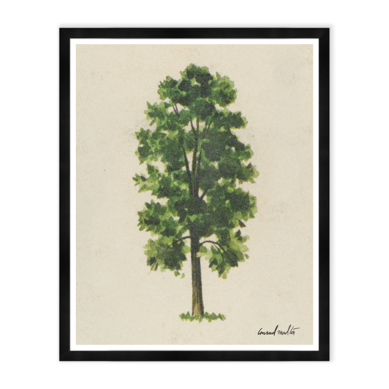 Oval Tree Print