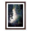 Forest Light - Framed Print-55577604-55577606