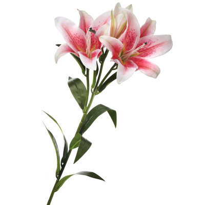 Lillies Arrangement