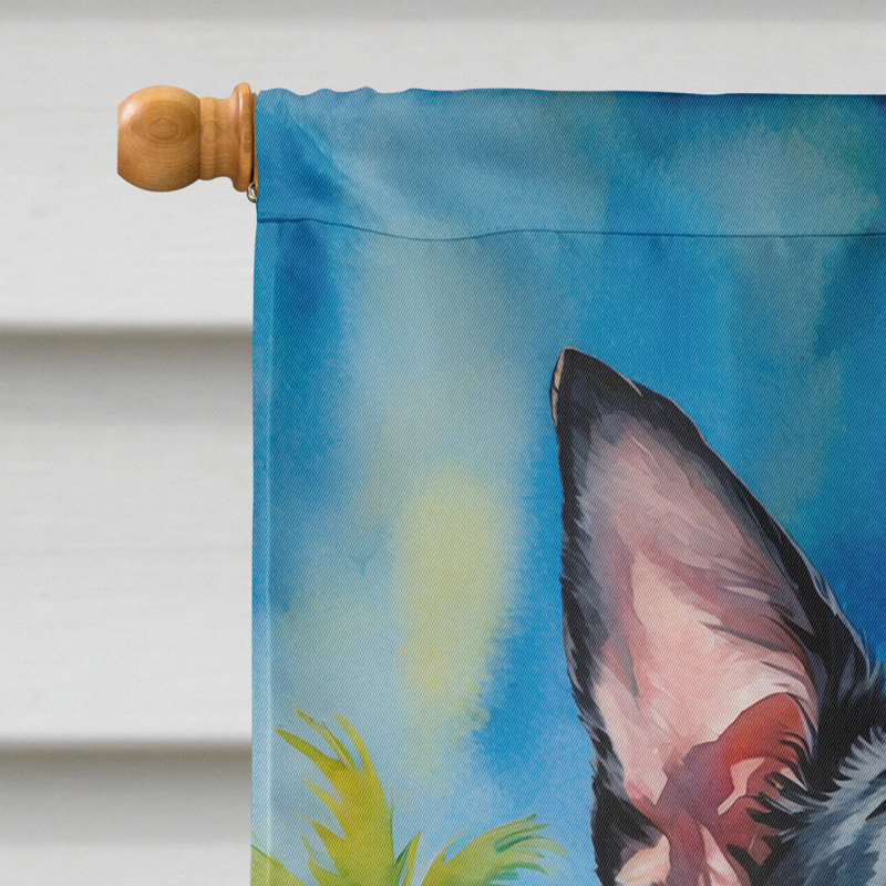 Drapeau de la maison esquimau américain, Boston-terrier