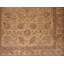 Wool Oriental Area Rug in Gold
