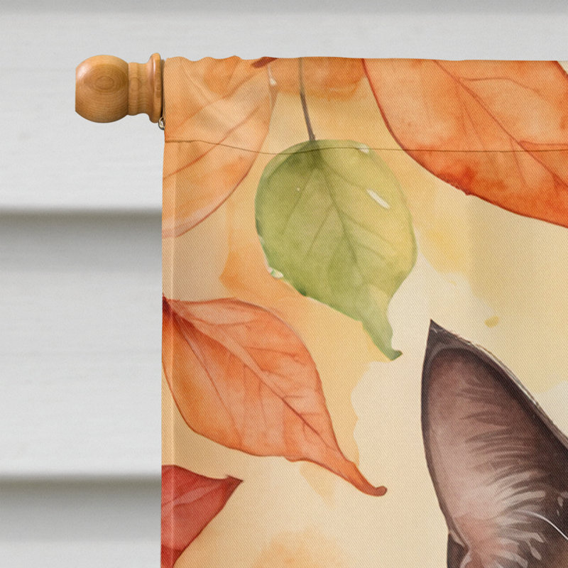 Chat en feuilles d'automne, Brun havane