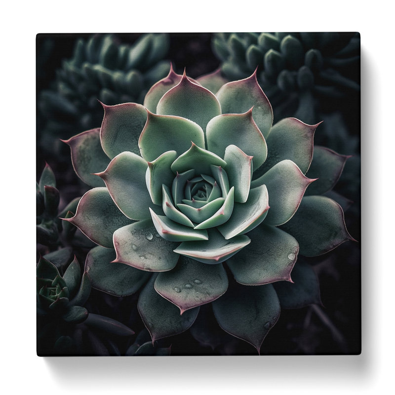 Print, 35cm H x 35cm W