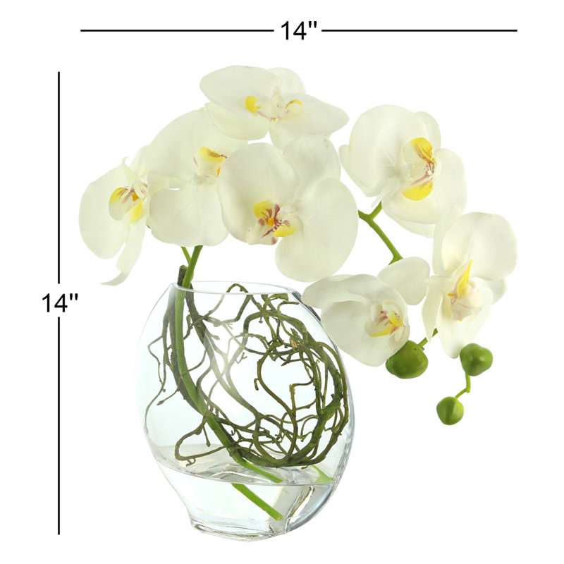 Orchid Arrangement in Round Glass Vase with Vines, White