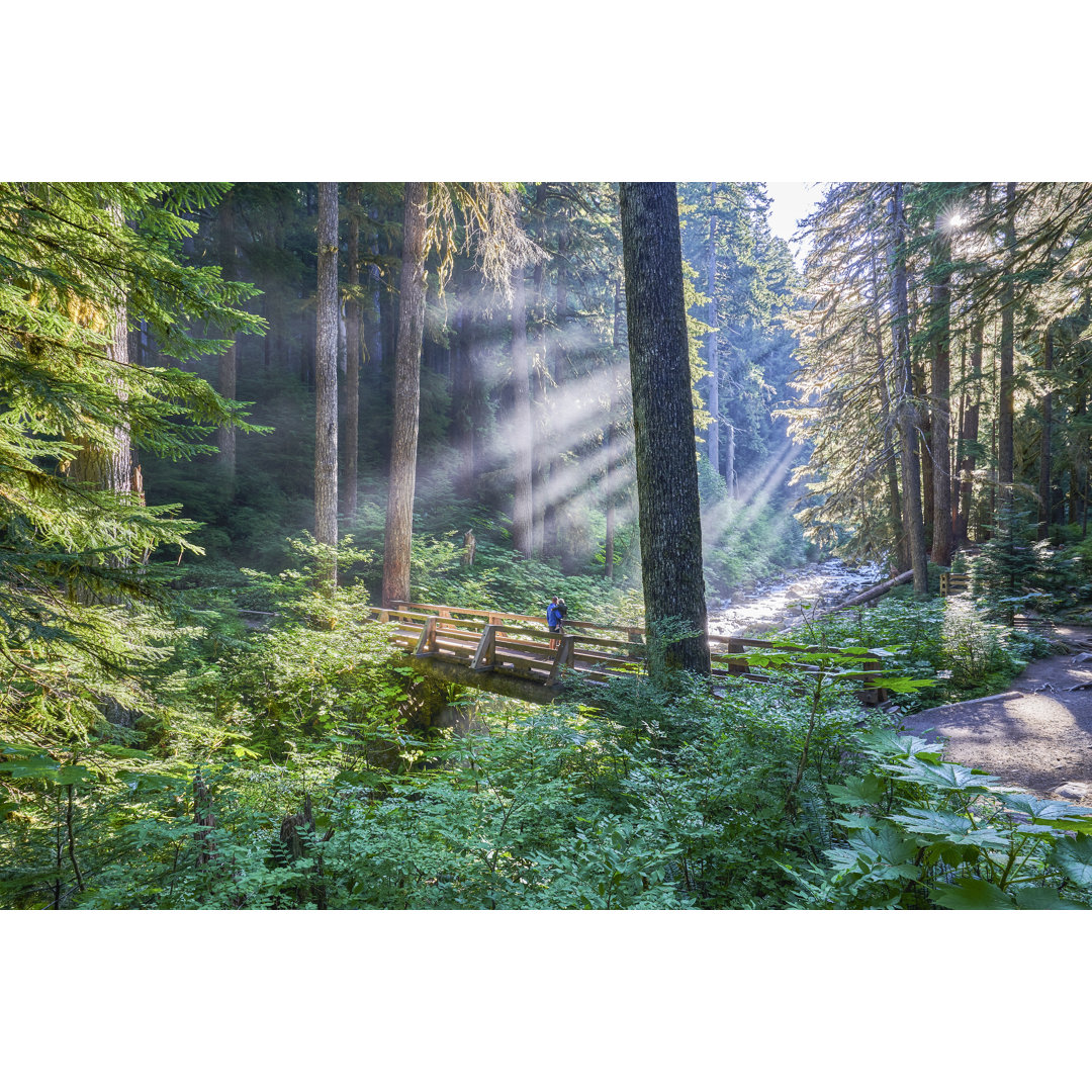 Vater und Kleinkind Tochter Sol Duc Falls In The Unique Scenery Of The Sol Duc River Valley by Bkamprath - No Frame Art ...