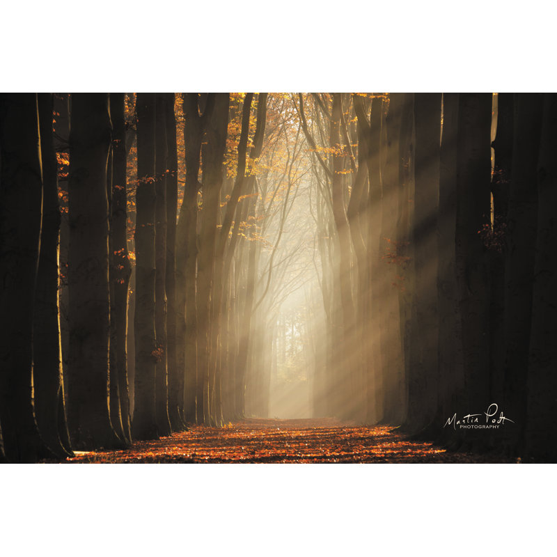 " Classic Shot ", Black Framed Print, No, 8" H x 12" W