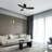 Vant 44'' Ceiling Fan with LED Lights-1281008691
