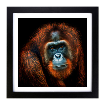 Orangutan Digital Art - Framed Print