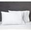 Viola Lace Sateen Pillow Case-36503841-36503840