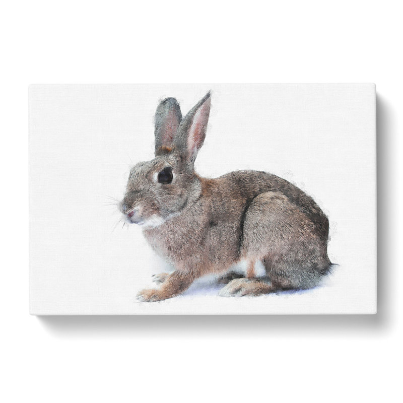 Brown Bunny Rabbit Painting - Wrapped Canvas, 60cm H x 91cm W x 3cm D